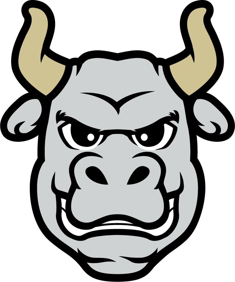 South Florida Bulls 2022-Pres Mascot Logo diy DTF decal sticker